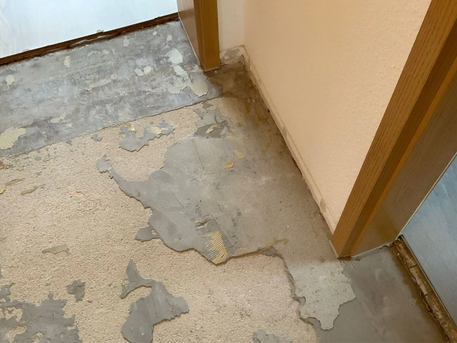 Wasserschaden- und Schimmelpilzbeseitigung durch Malerfachbetrieb Michael Paschen
